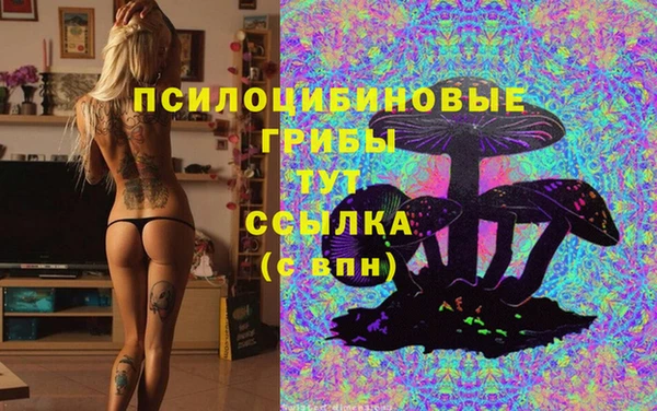 стафф Бронницы